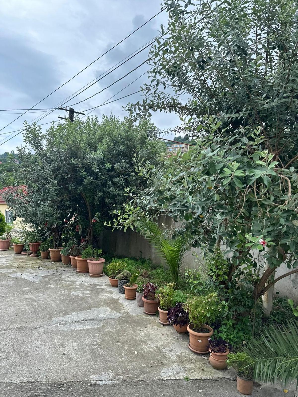 Shamil House Pension Makhinjauri Buitenkant foto