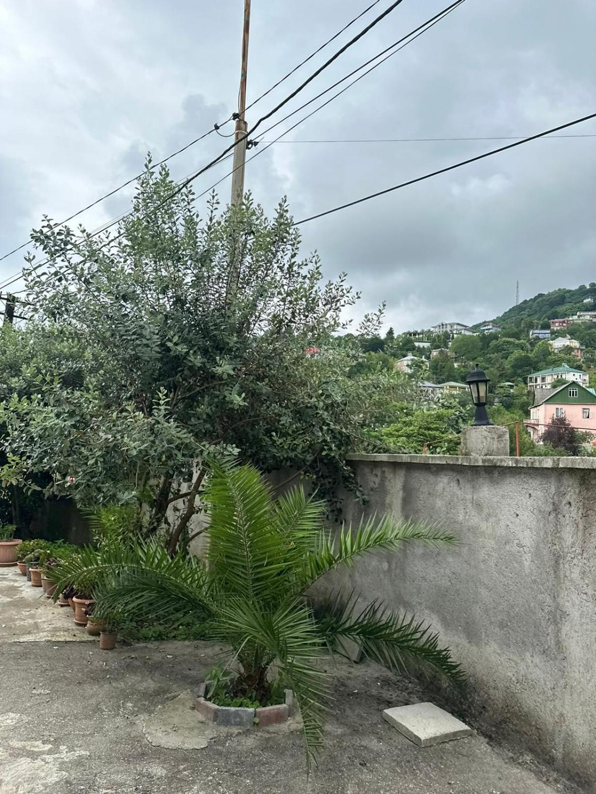 Shamil House Pension Makhinjauri Buitenkant foto