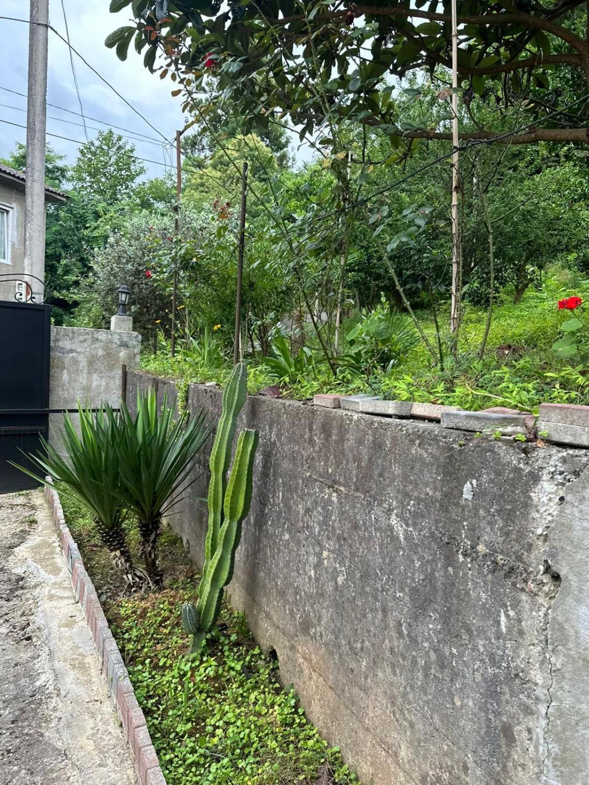 Shamil House Pension Makhinjauri Buitenkant foto